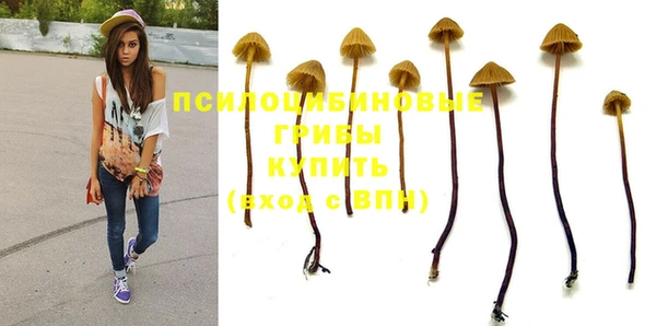 мяу мяу мука Балабаново