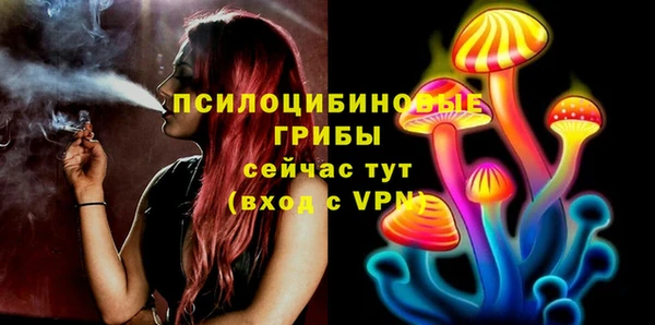 экстази Баксан