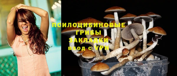 экстази Баксан