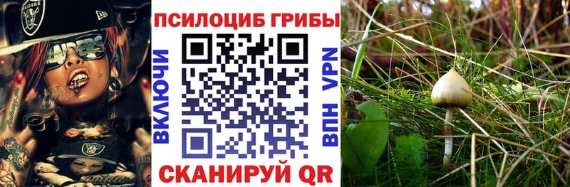 это официальный сайт  Краснослободск  Псилоцибиновые грибы мухоморы 